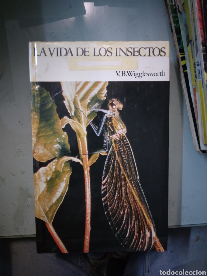 Libros: La vida de los insectos,Wigglesworth - Foto 1
