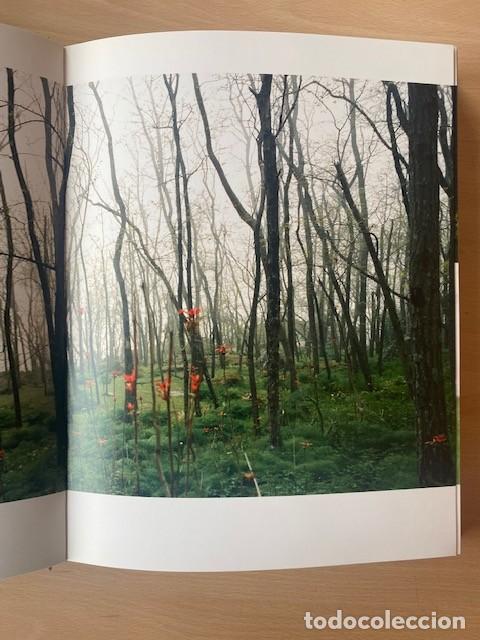 Libros: EL BOSQUE PROTECTOR - varios - Foto 2