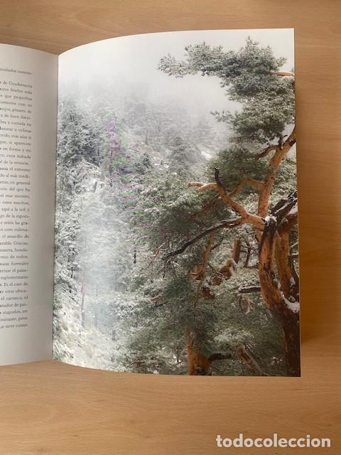 Libros: EL BOSQUE PROTECTOR - varios - Foto 4