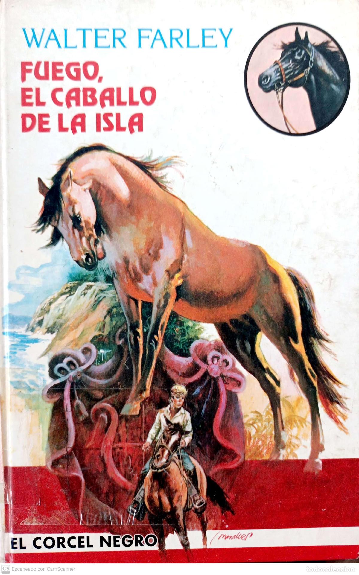 Libros: Fuego, el caballo de la isla - Farley, Walter - Foto 1