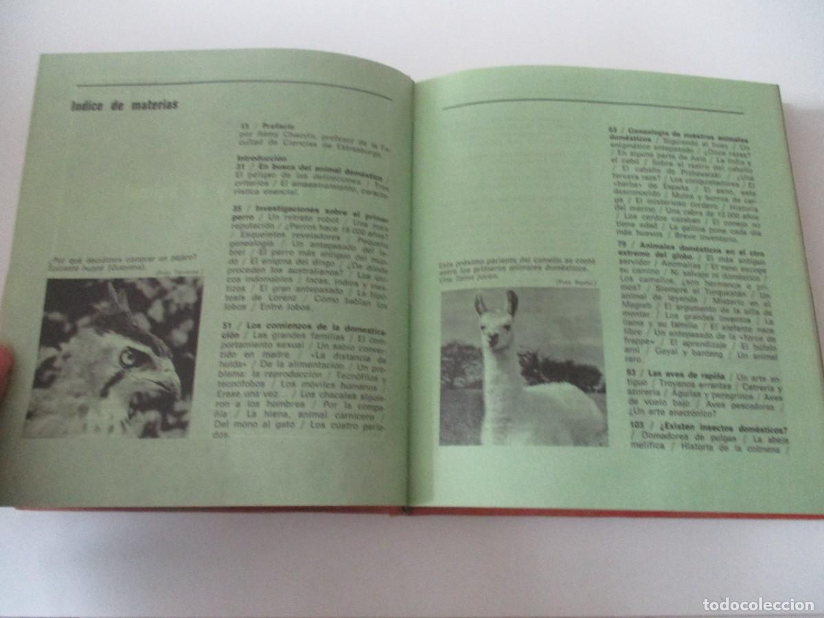 Libros: JACQUES GRAVEN El hombre y el animal W15126 - Foto 2
