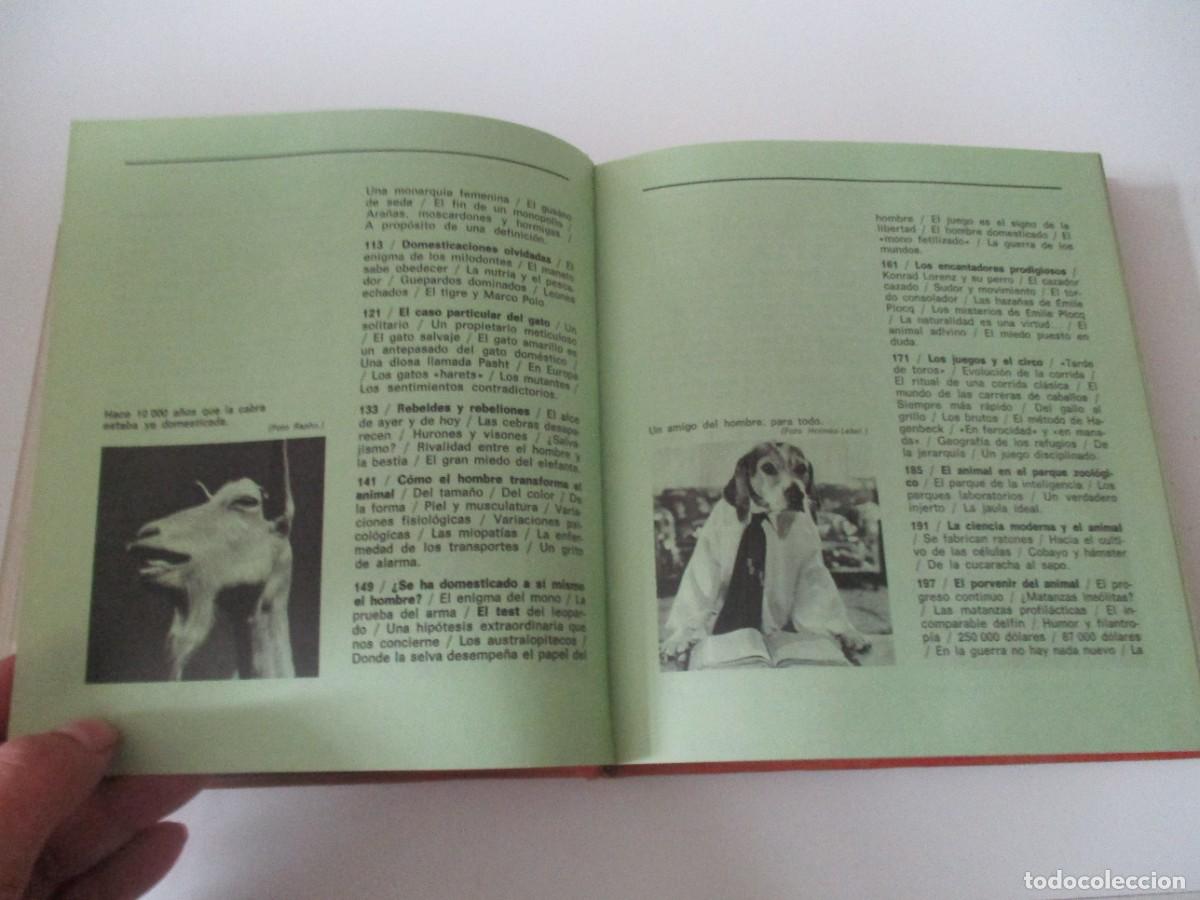 Libros: JACQUES GRAVEN El hombre y el animal W15126 - Foto 3
