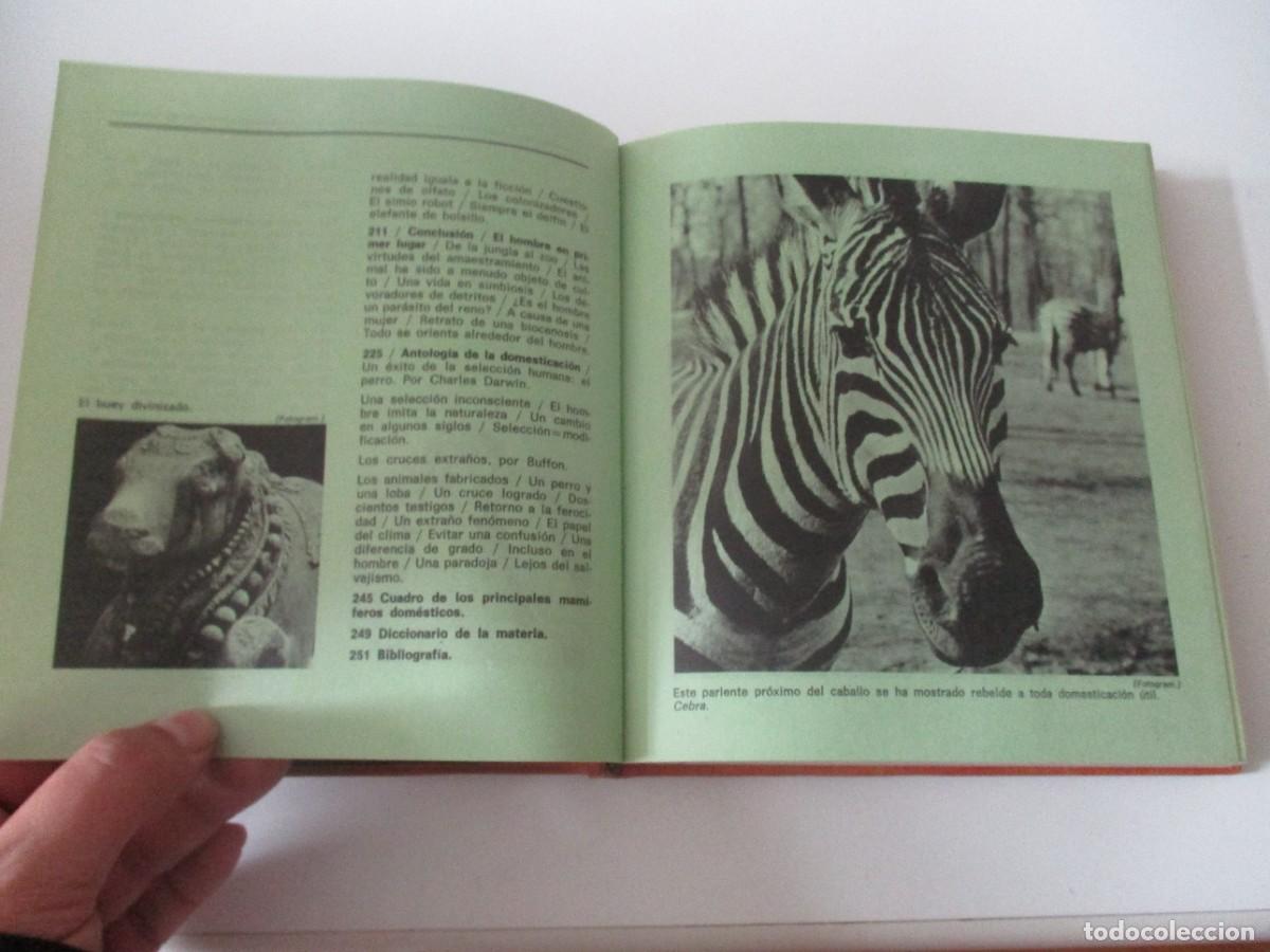 Libros: JACQUES GRAVEN El hombre y el animal W15126 - Foto 4