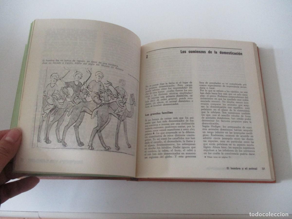 Libros: JACQUES GRAVEN El hombre y el animal W15126 - Foto 5