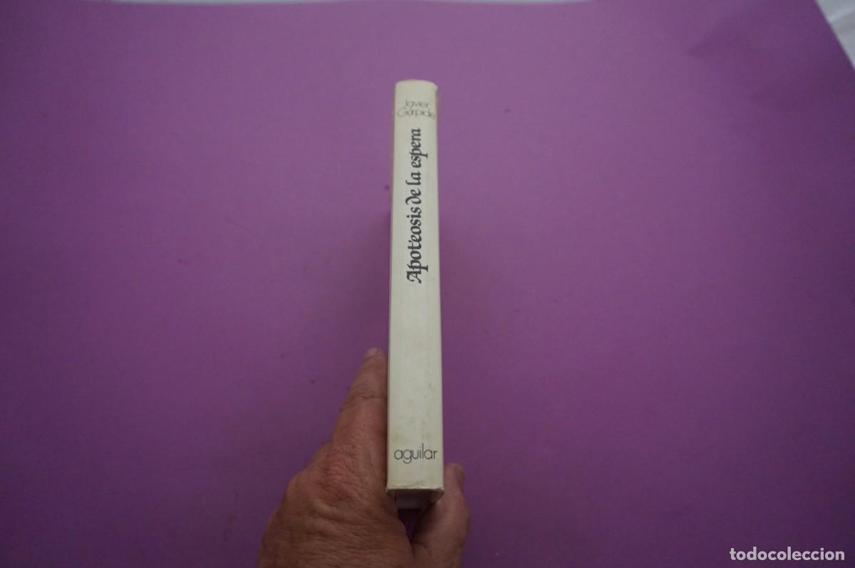 Libros: AMF-14D/ APOTEOSIS DE LA ESPERA - JAVIER GURPIDE / AGUILAR - Foto 6