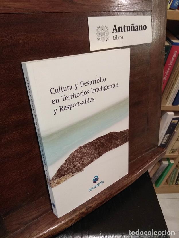 Libros: Cultura y desarrollo en Territorios Inteligentes y Responsables - Foto 1