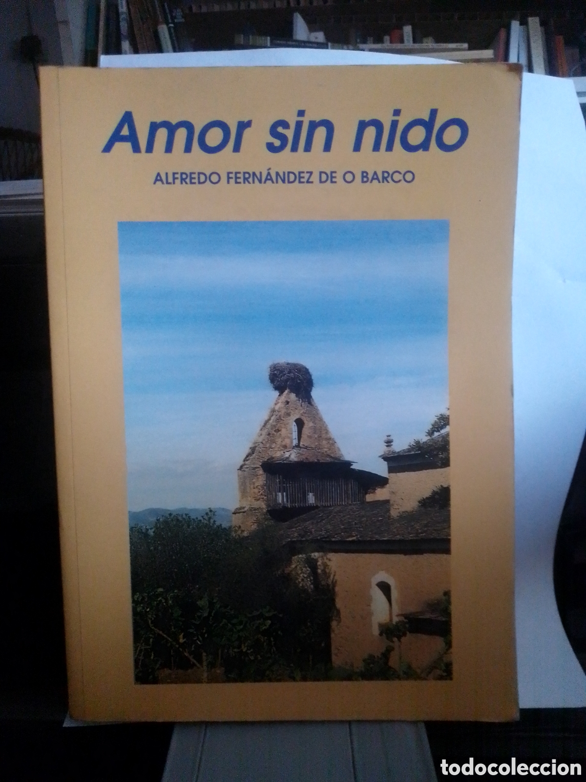 Amor sin nido - Fern&aacute;ndez de O Barco, Alfredo