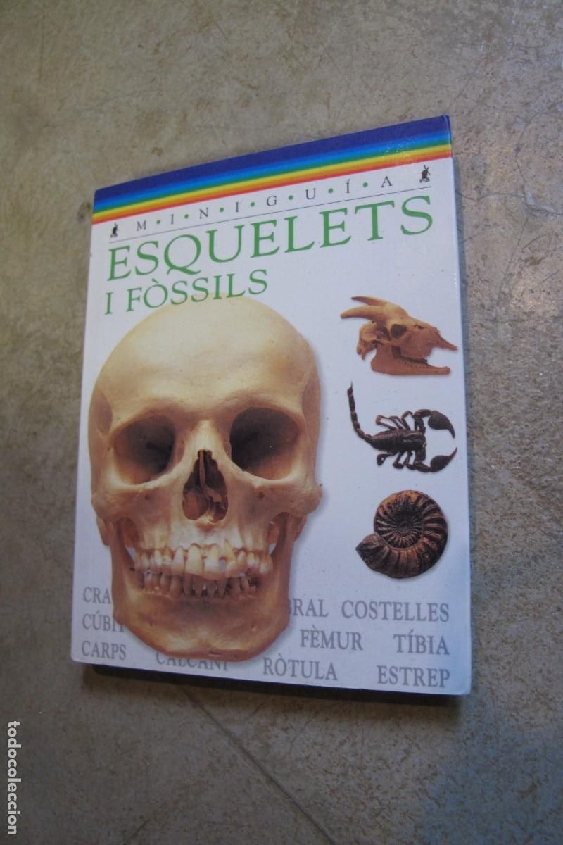 Libros: ESQUELETS I FOSSILS. MINIGUIA. BARBARA TAYLOR - Foto 1