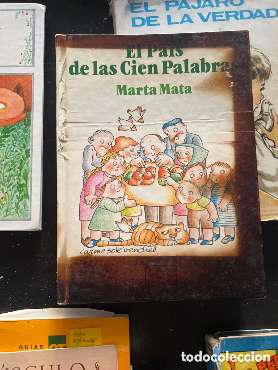 Libros: El pa&iacute;s de las cien palabras - Foto 1