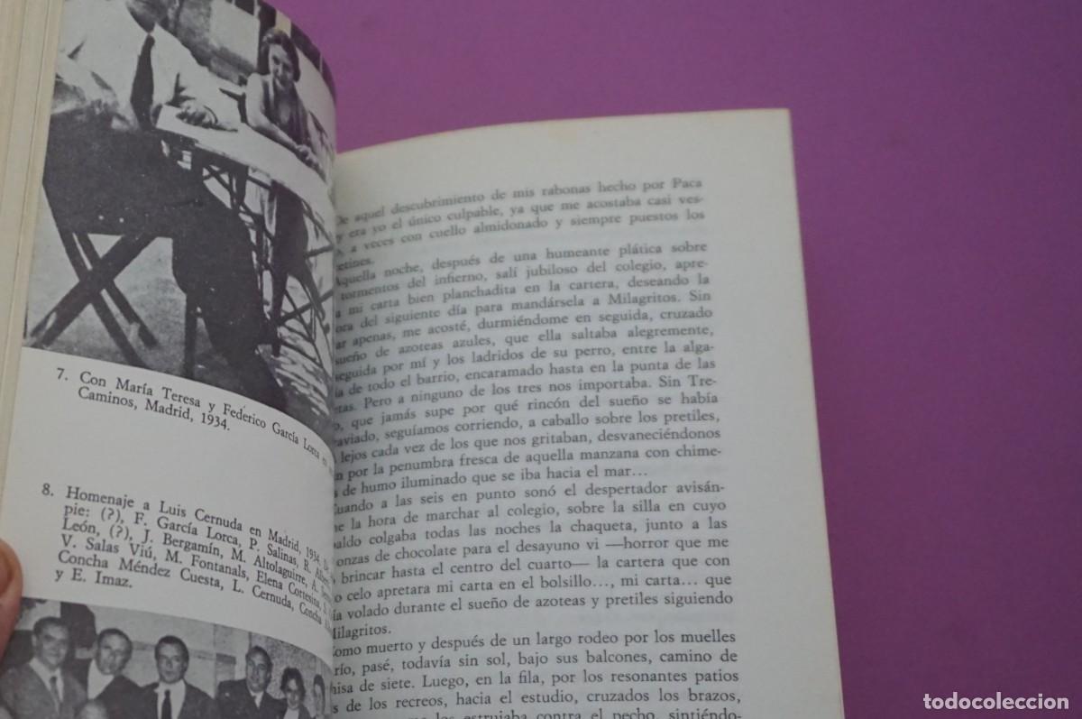 Libros: AMF-16B/ LA ARBOLEDA PERDIDA - RAFAEL ALBERTI / SEIX BARRAL - Foto 5
