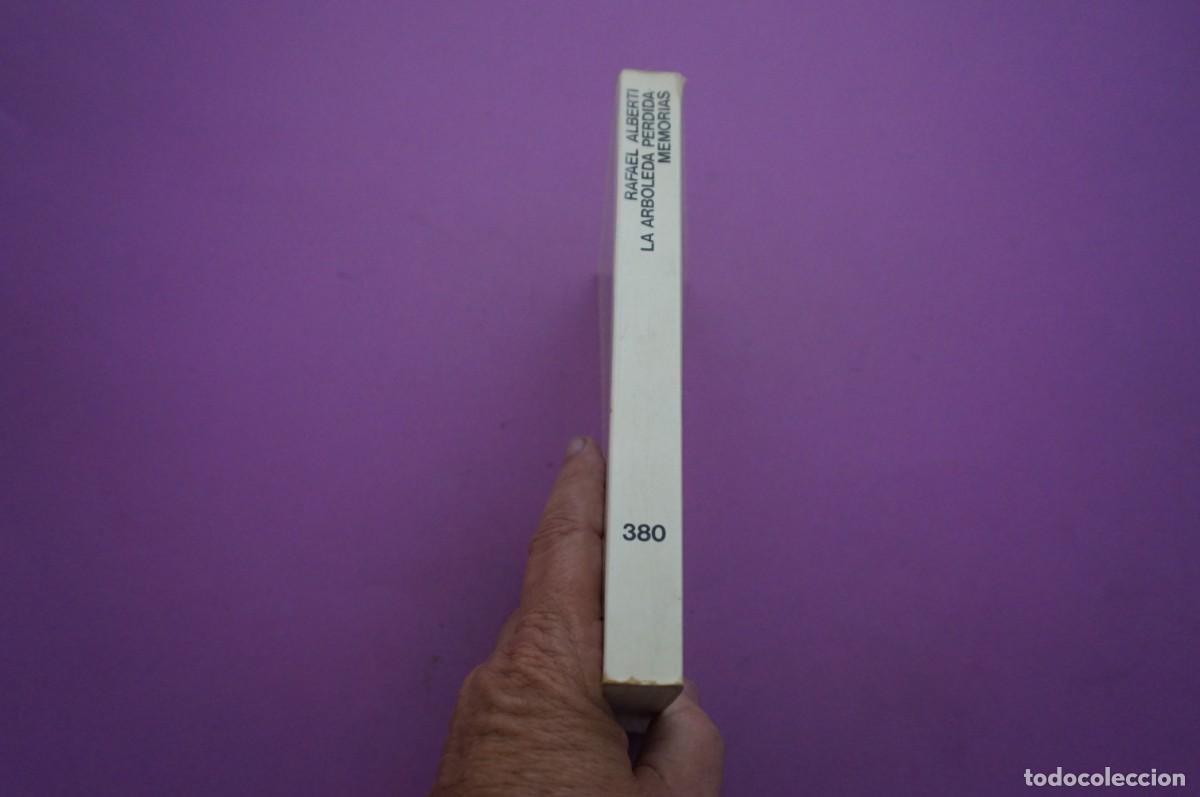 Libros: AMF-16B/ LA ARBOLEDA PERDIDA - RAFAEL ALBERTI / SEIX BARRAL - Foto 7