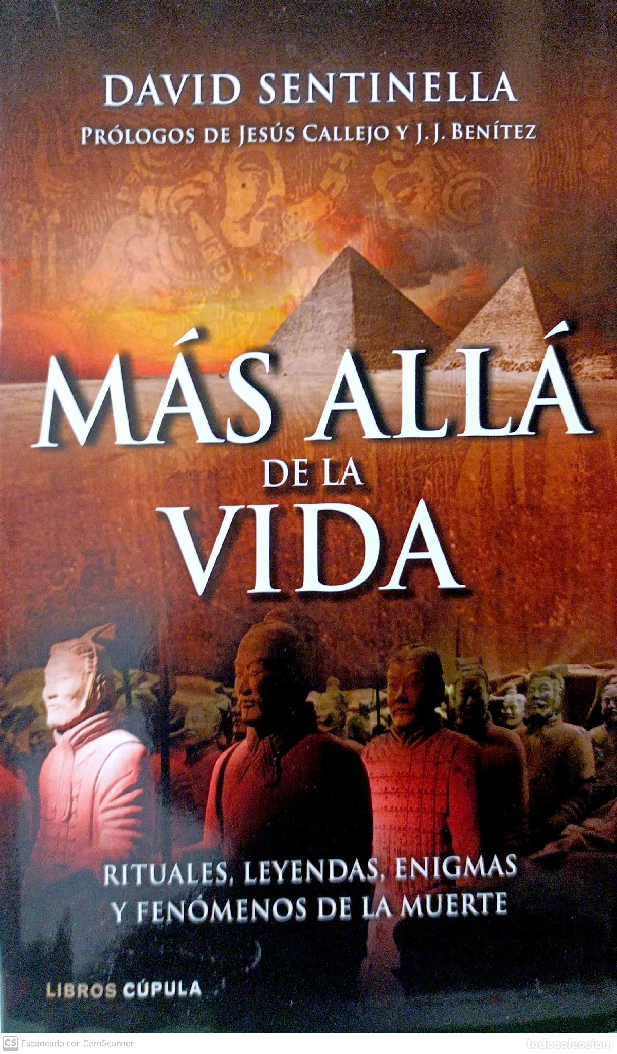 Libros: M&aacute;s all&aacute; de la vida - David Sentinella - Foto 1