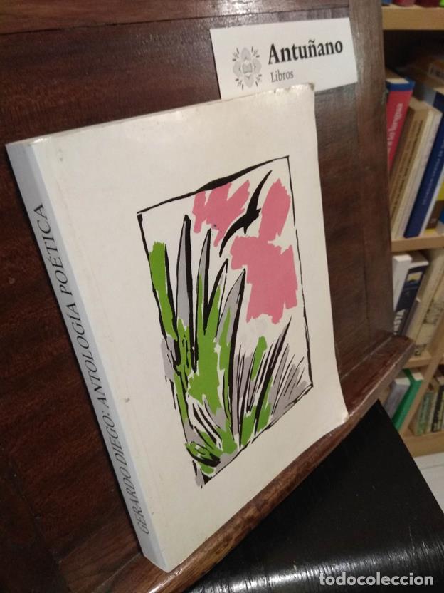Libros: Antolog&iacute;a poetica - Foto 1