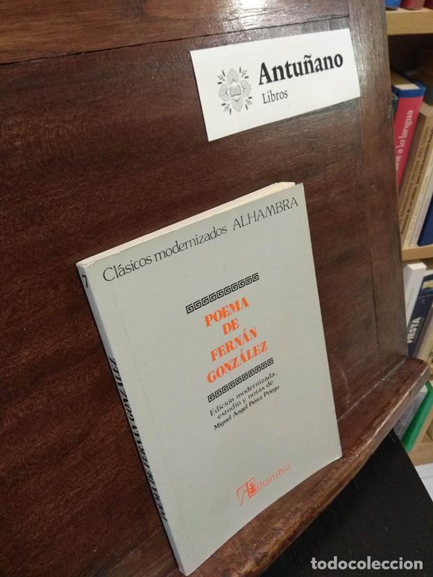 Libros: Poema de Fern&aacute;n Gonz&aacute;lez - Foto 1