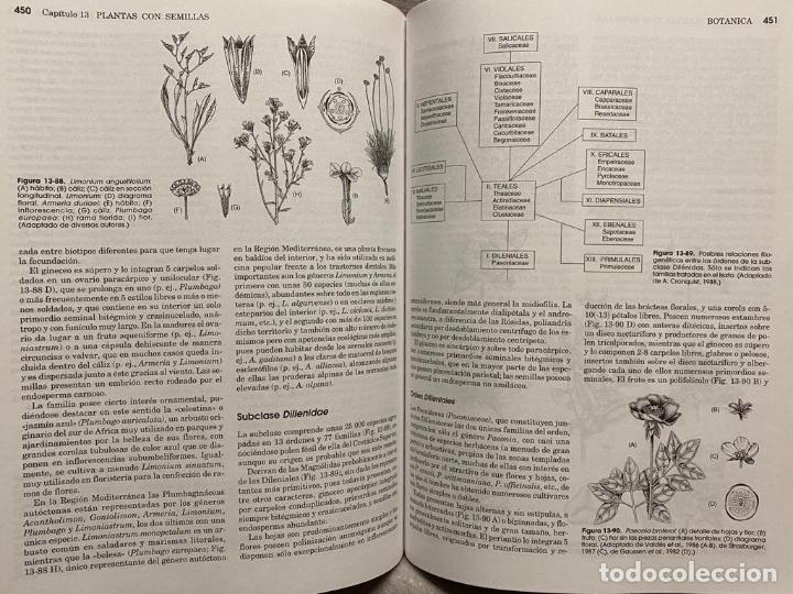 Libros: BOT&Aacute;NICA. - VV.AA. - Foto 2