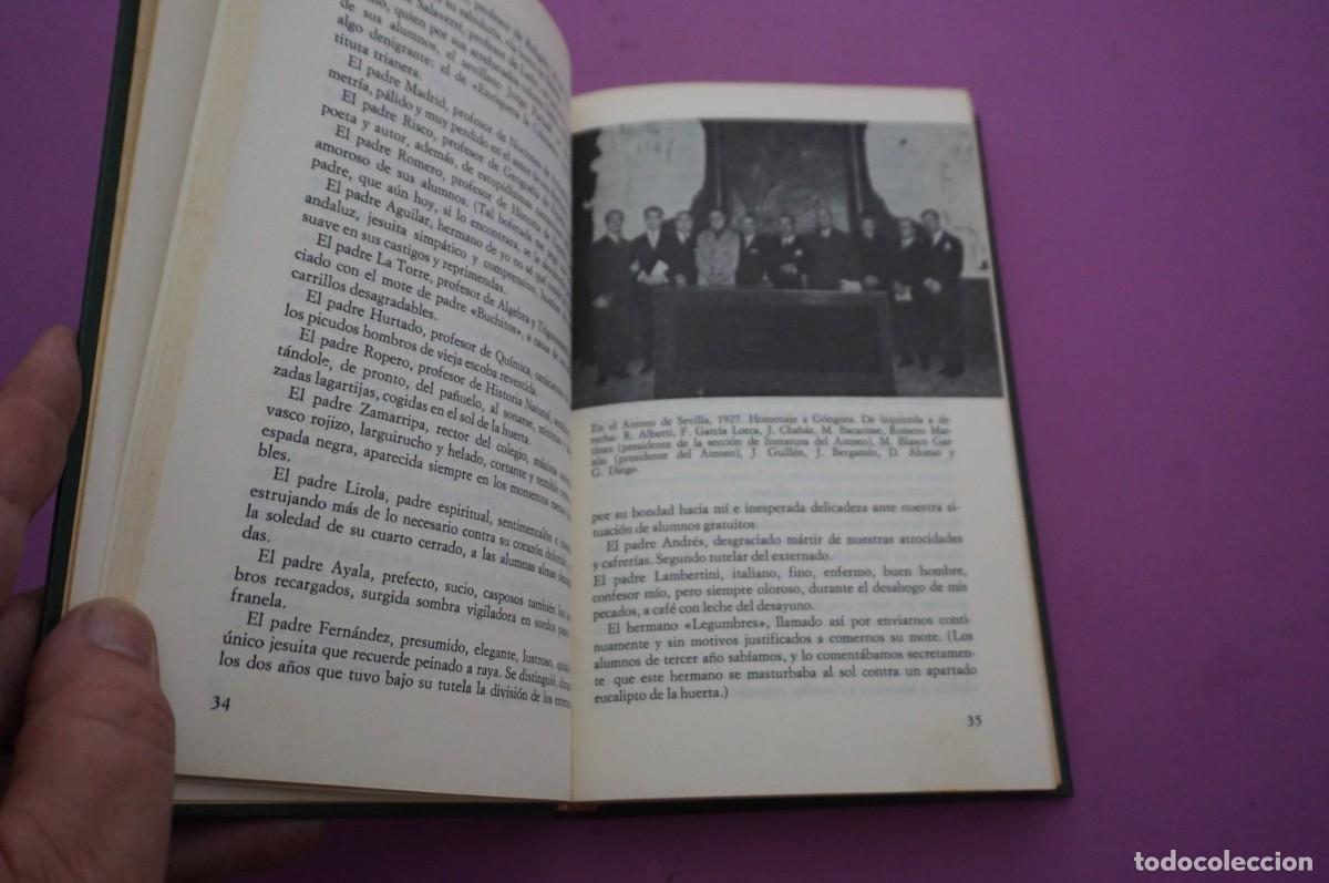 Libros: AMF-16F/ LA ARBOLEDA PERDIDA - RAFAEL ALBERTI / CIRCULO DE LECTORES - Foto 3