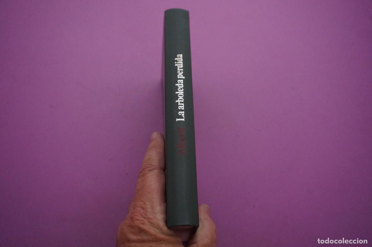 Libros: AMF-16F/ LA ARBOLEDA PERDIDA - RAFAEL ALBERTI / CIRCULO DE LECTORES - Foto 6