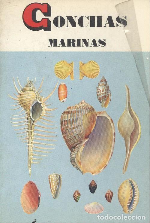 Libros: CONCHAS MARINAS - R. Tucker Abbott - Foto 1