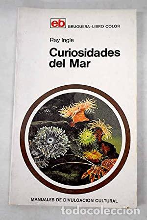 Libros: CURIOSIDADES DEL MAR - Ray Ingle - Foto 1