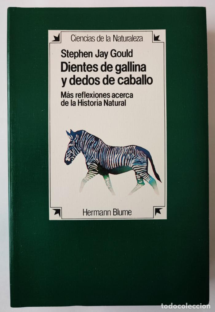 Libros: DIENTES DE GALLINA Y DEDOS DE CABALLO - Stephen Jay Gould - Foto 1