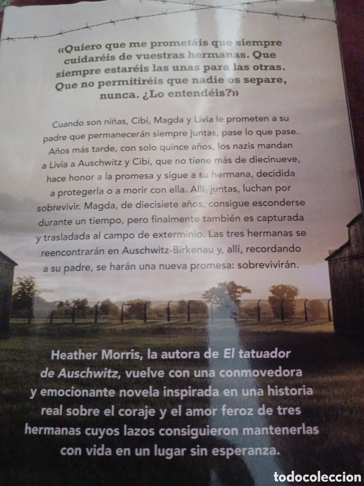 Libros: Barybook C52. Las tres hermanas Heather Morris - Foto 3