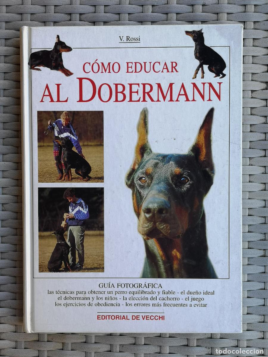 Libros: LIBRO - COMO EDUCAR AL DOBERMANN - de Valeria Rossi - Foto 1