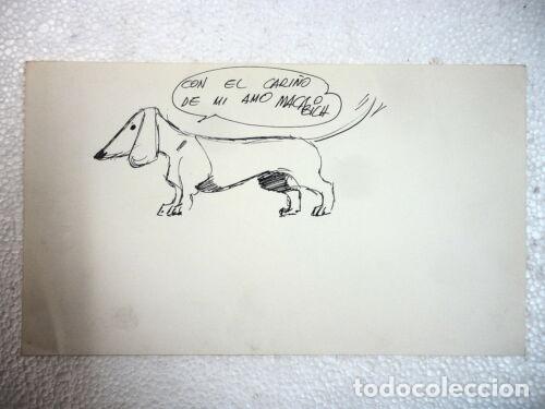 Libros: Dibujo Original de Jordi Macabich - Foto 1