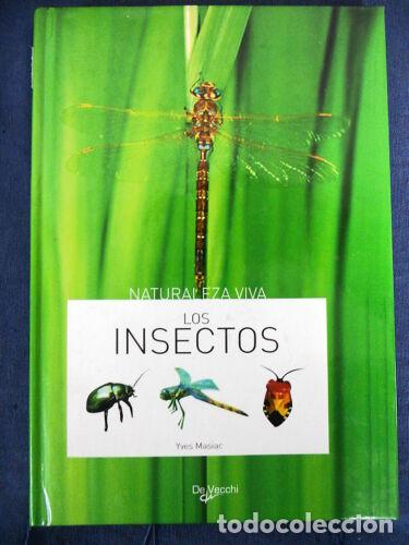 Libros: Los Insectos,Yves Masiac,Editorial De Vecchi,2006 - Foto 1