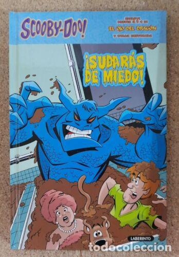 Libros: Scooby-Doo!.Sudaras Miedo.Laberinto - Foto 1