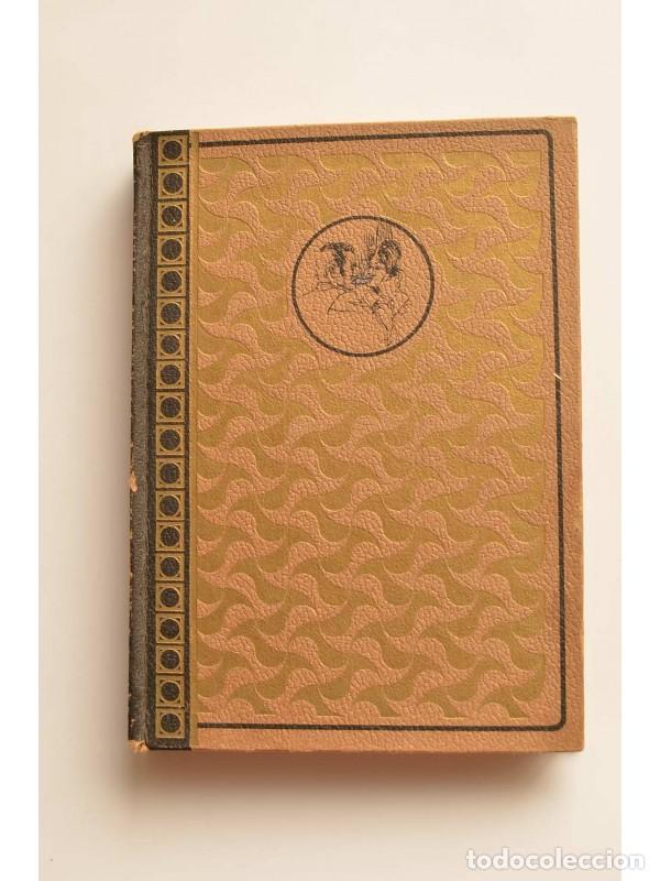 Libros: Safo - DAUDET, Alphonse - Foto 1