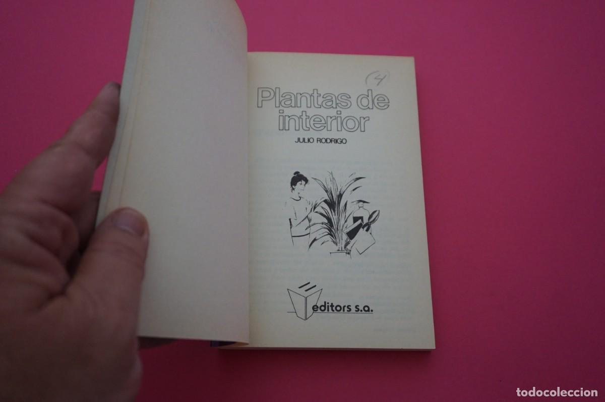 Libros: AMF-15C/ PLANTAS DE INTERIOR - JULIO RODRIGO / EDITORS S.A. - Foto 2