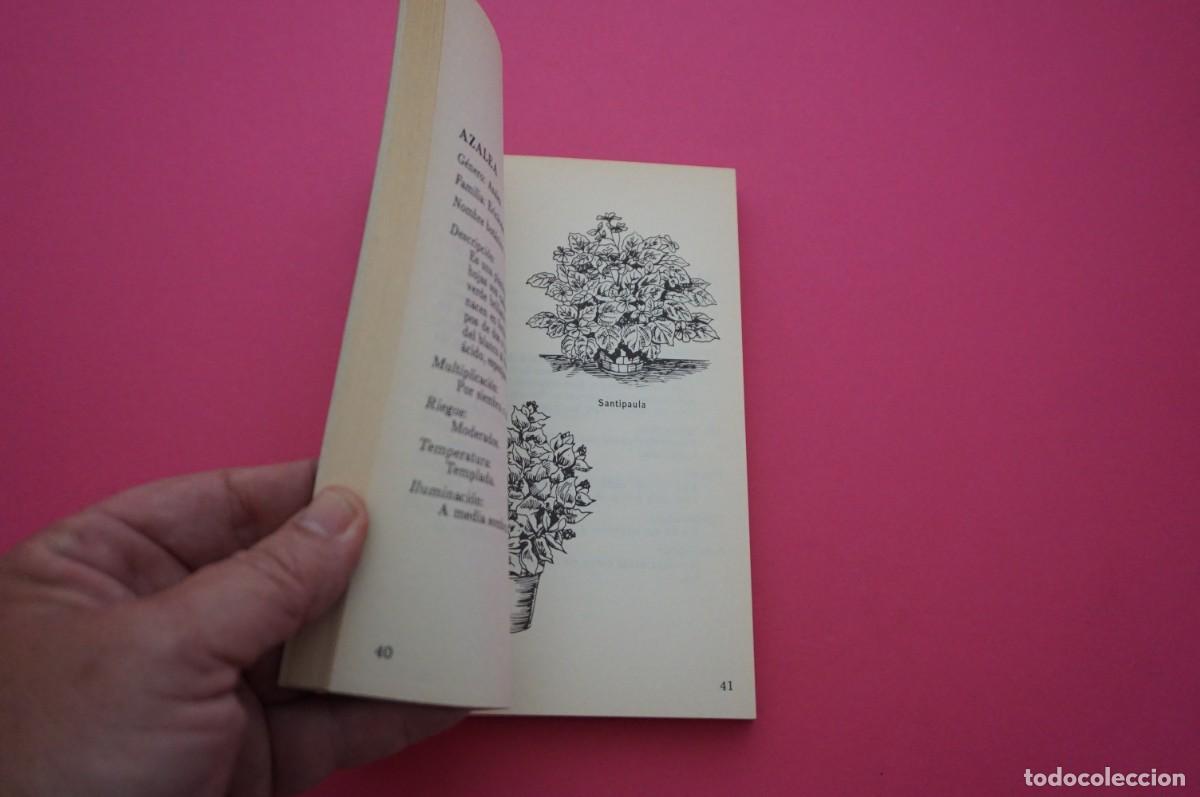 Libros: AMF-15C/ PLANTAS DE INTERIOR - JULIO RODRIGO / EDITORS S.A. - Foto 4
