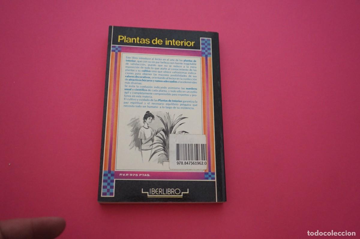 Libros: AMF-15C/ PLANTAS DE INTERIOR - JULIO RODRIGO / EDITORS S.A. - Foto 5