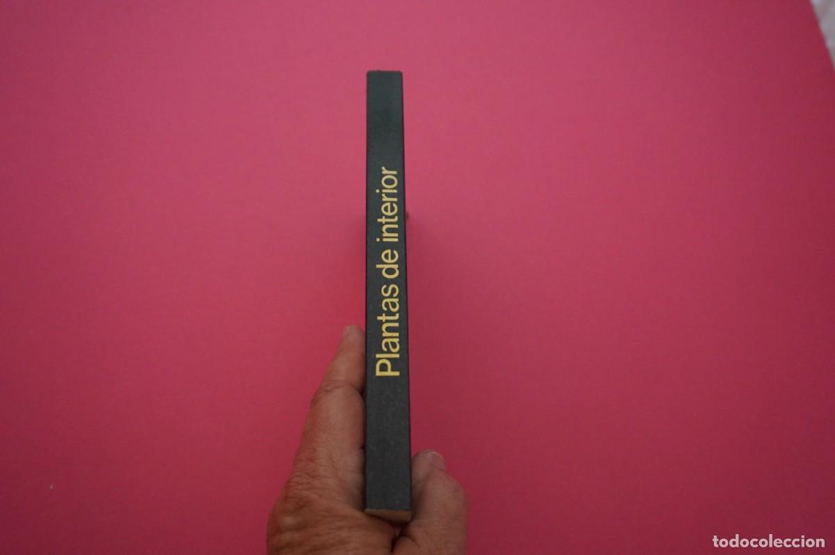 Libros: AMF-15C/ PLANTAS DE INTERIOR - JULIO RODRIGO / EDITORS S.A. - Foto 6