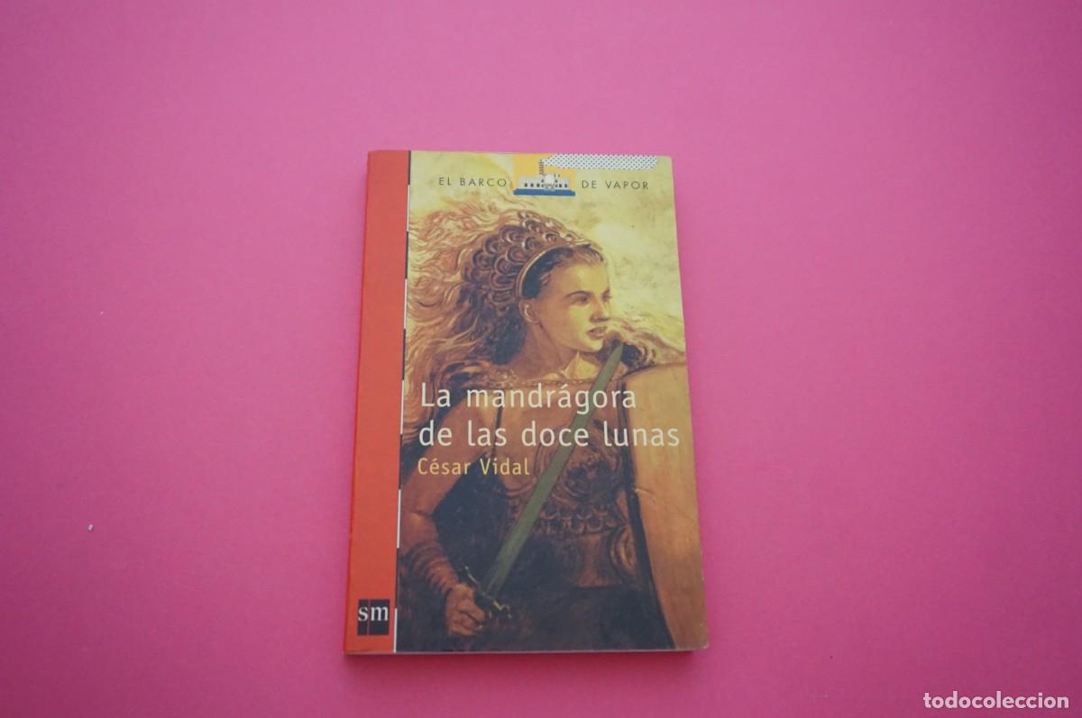 Libros: AMF-15C/ LA MANDRAGORA DE LAS DOCE LUNAS - CESAR VIDAL / SM - Foto 1