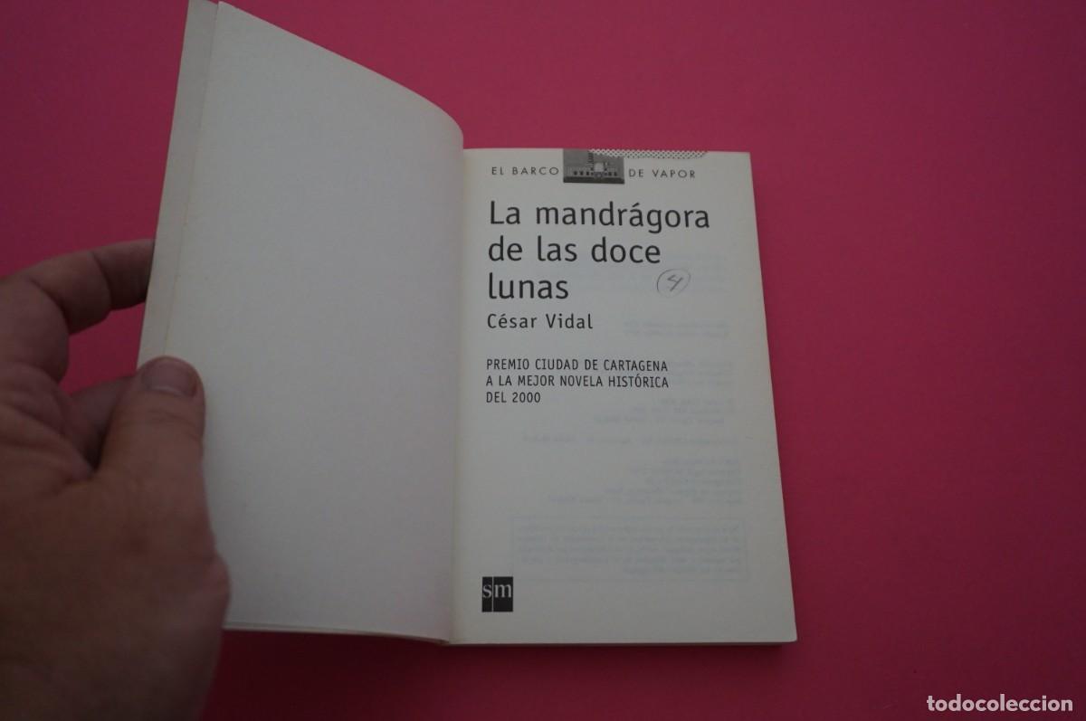 Libros: AMF-15C/ LA MANDRAGORA DE LAS DOCE LUNAS - CESAR VIDAL / SM - Foto 2