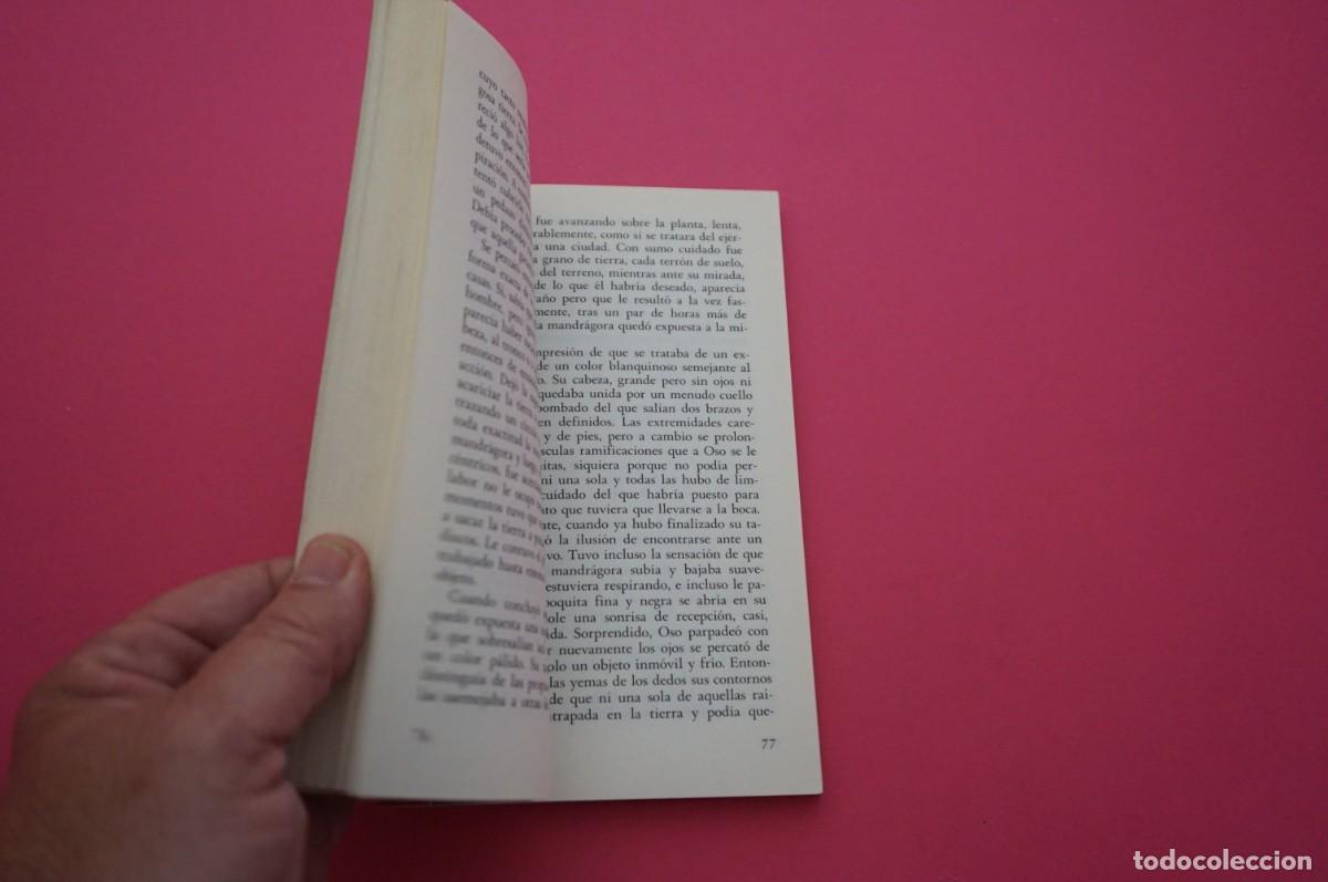 Libros: AMF-15C/ LA MANDRAGORA DE LAS DOCE LUNAS - CESAR VIDAL / SM - Foto 3