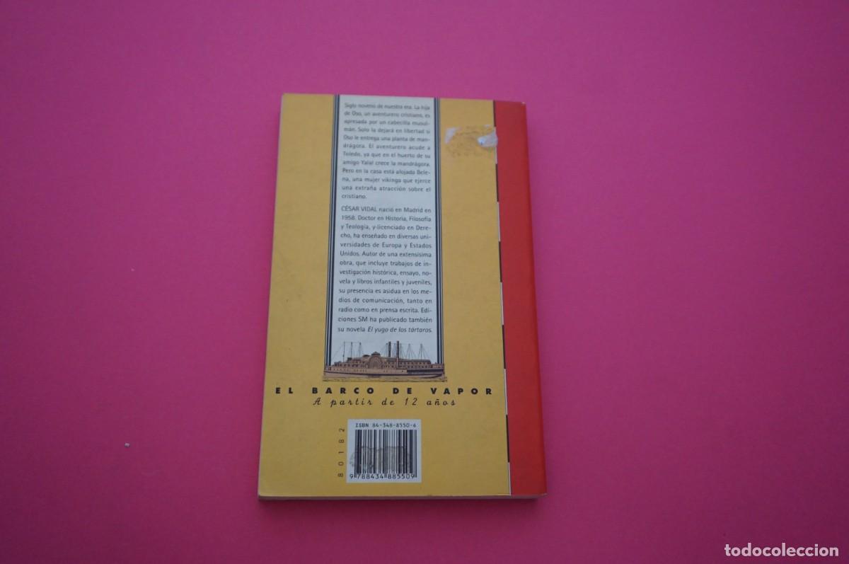 Libros: AMF-15C/ LA MANDRAGORA DE LAS DOCE LUNAS - CESAR VIDAL / SM - Foto 5