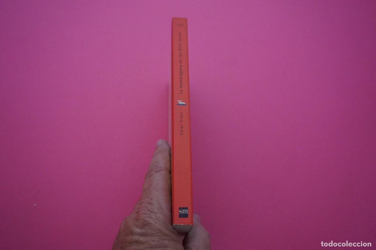 Libros: AMF-15C/ LA MANDRAGORA DE LAS DOCE LUNAS - CESAR VIDAL / SM - Foto 6