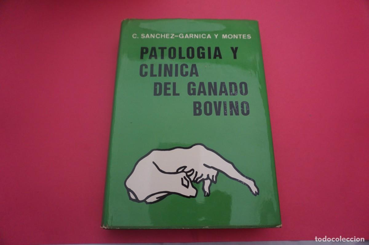 Livros em segunda m&atilde;o: 23/ PATOLOGIA Y CLINICA DEL GANADO BOVINO - C. SANCHEZ-GARNICA Y MONTES / NEOSAN