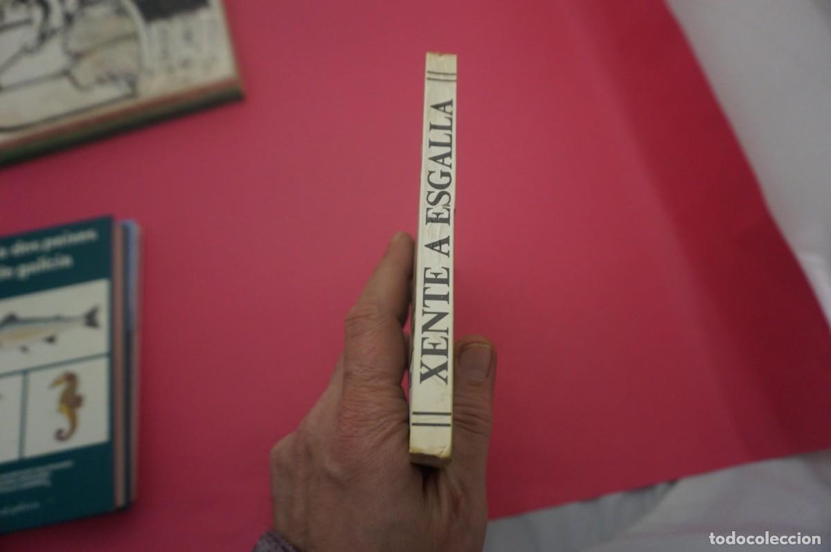 Libros: 23/ XENTE A ESGALLA - QUESADA - Foto 7