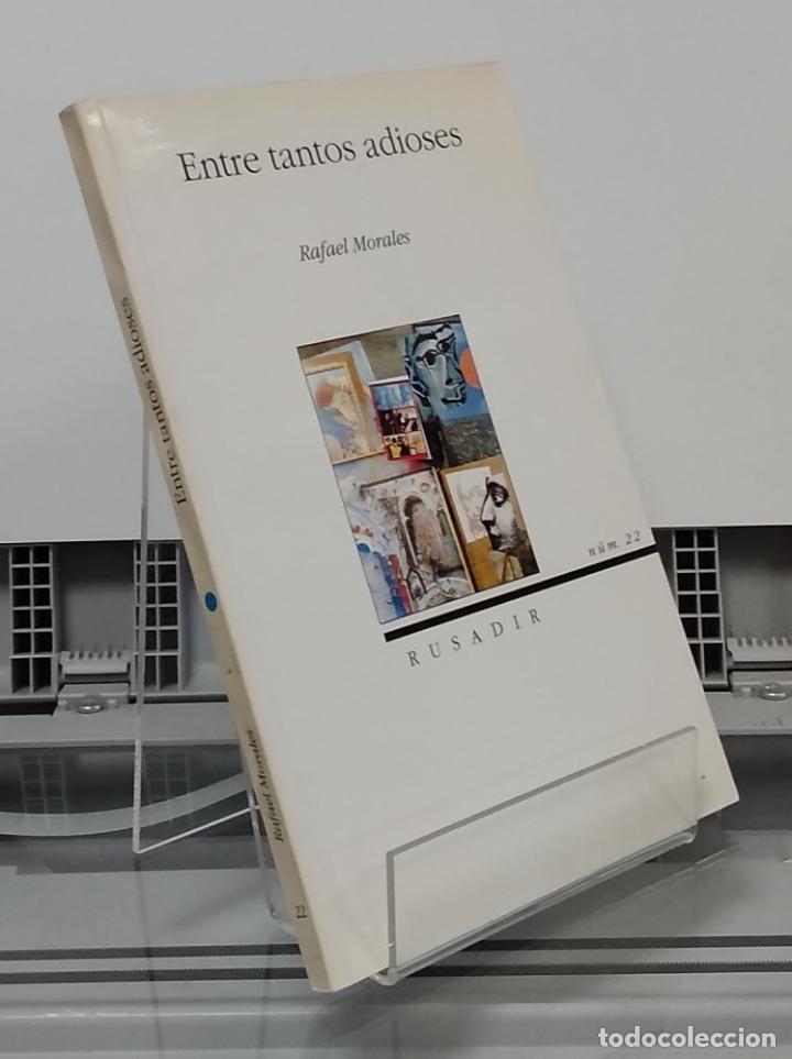 Libros: Entre tantos adioses - Rafael Morales - Foto 1