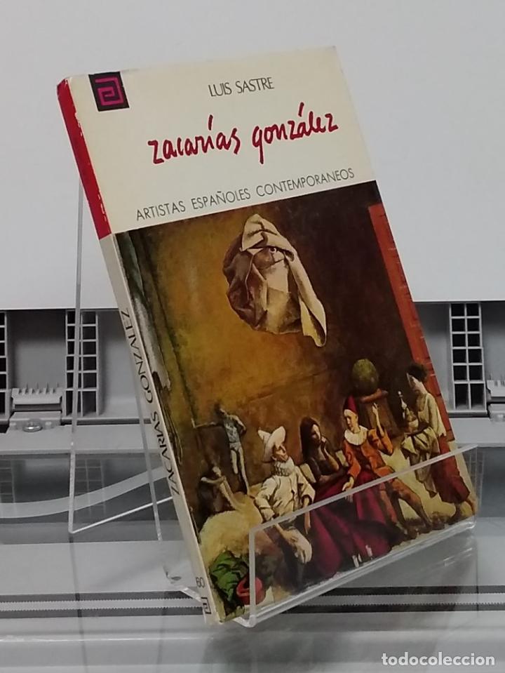 Libros: Zacar&iacute;as Gonz&aacute;lez - Luis Sastre - Foto 1