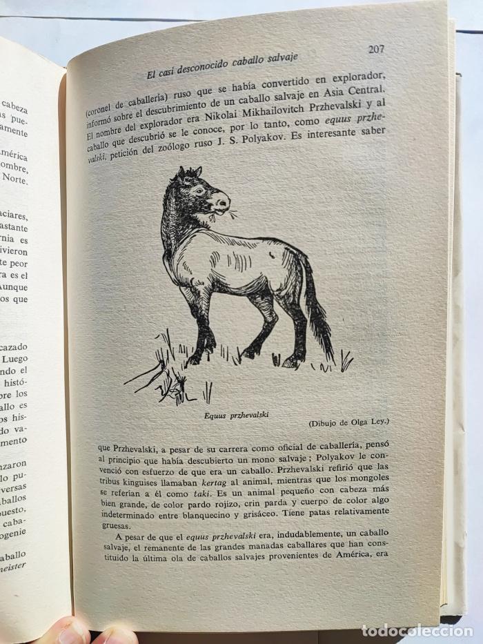 Libros: EL PEZ PULMONADO EL DOD&Oacute; Y EL UNICORNIO - Willy Ley - Foto 2