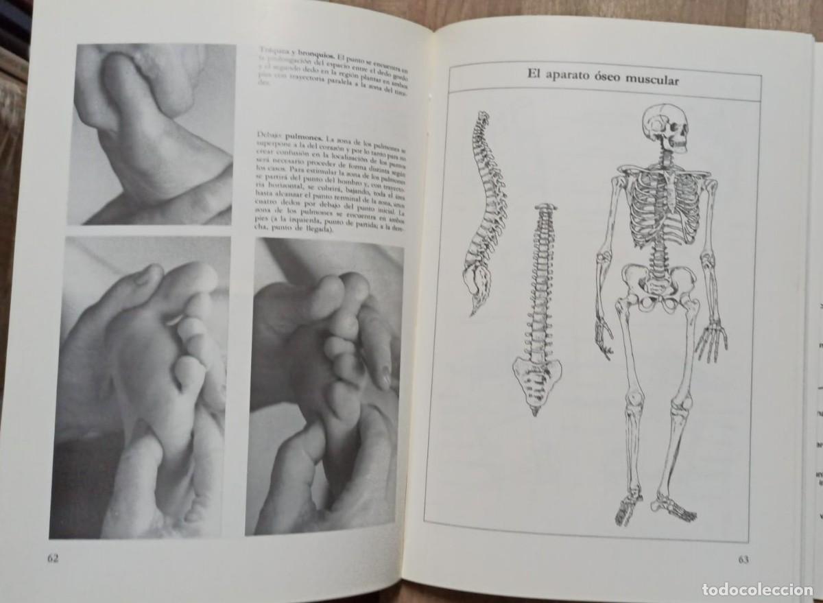 Libros: Curso de reflexolog&iacute;a del pie y de la mano - Piazza, Dalia - Foto 2