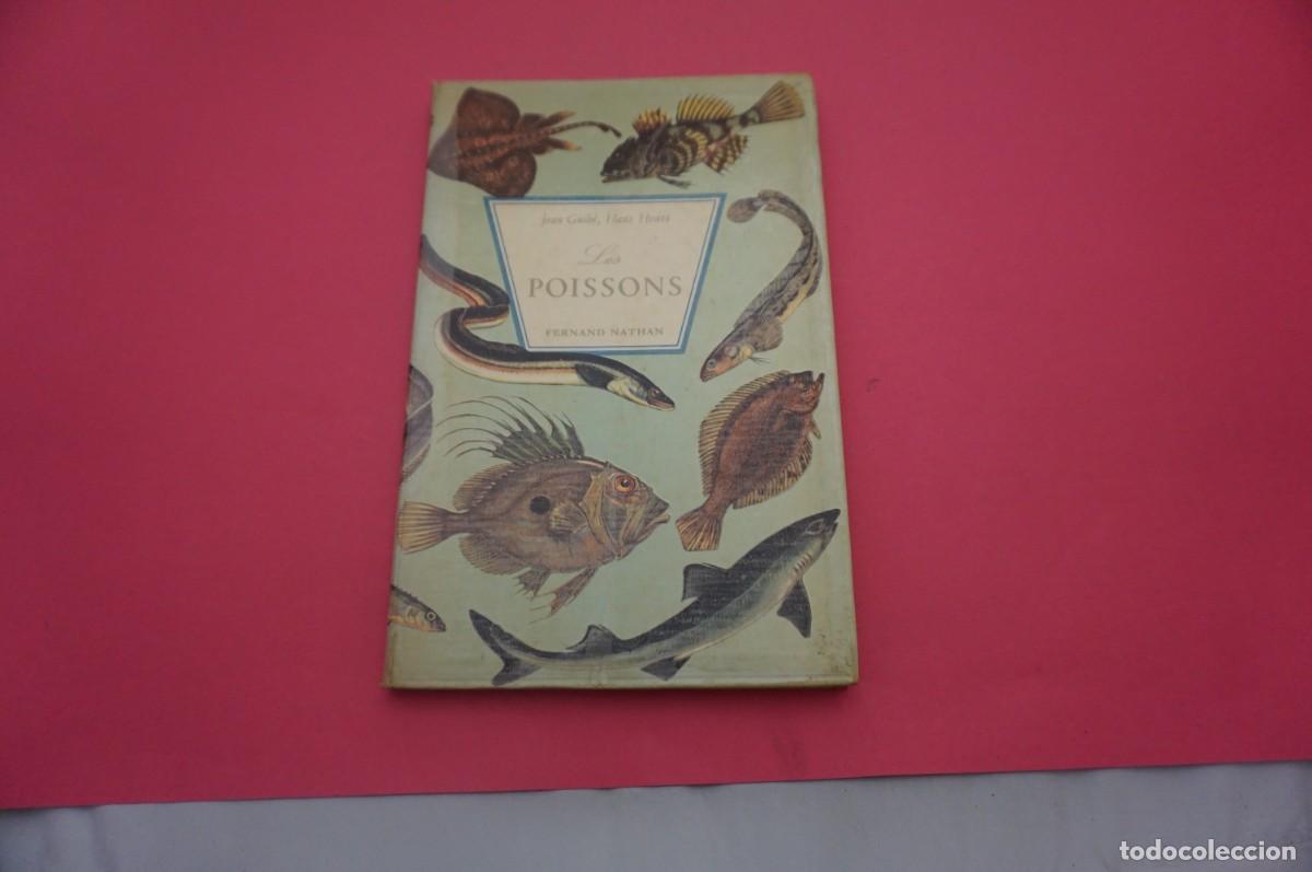 Livres: 5A/ LES POISSONS - HANS HVASS & JEAN GUIBE / FERNAND NATHAN PARIS