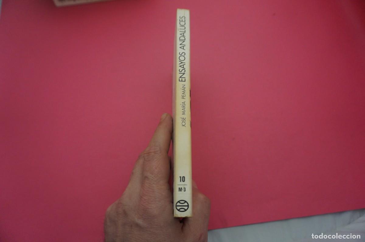 Libros: 5A/ ENSAYOS ANDALUCES - JOSE M&ordf; PEMAN / EDITORIAL PLANETA - Foto 6