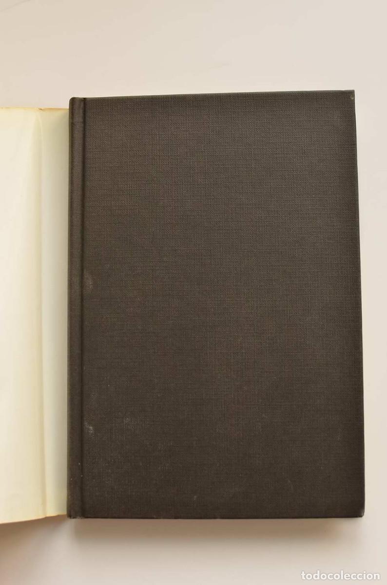 Libros: Mar&iacute;a, camino de perfecci&oacute;n - MART&Iacute;N, Santiago - Foto 2