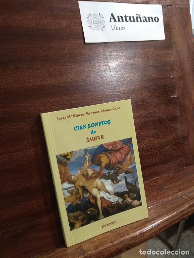 Libros: Cien sonetos de &Aacute;mbar Libro VIII