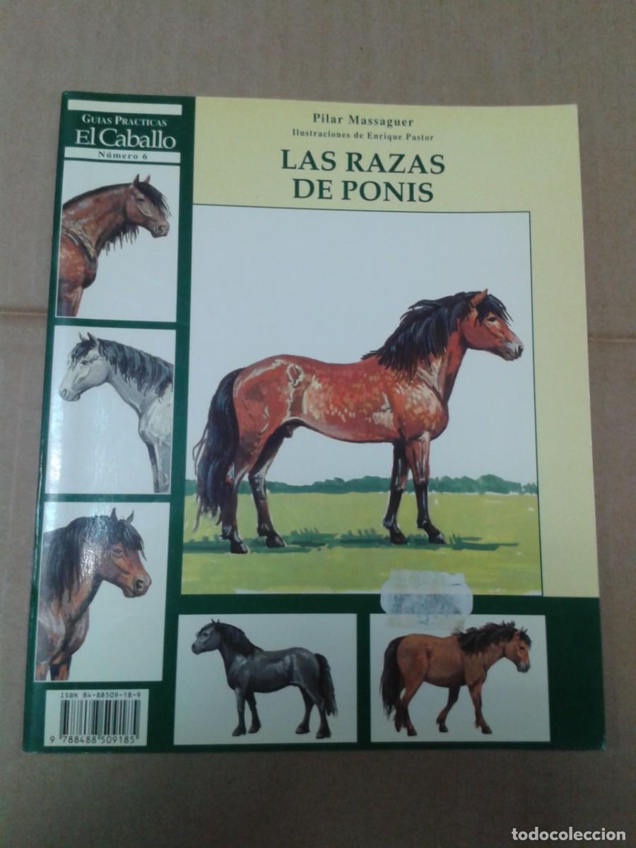 Libros: Las razas de ponis - Pilar Massaguer - Foto 1